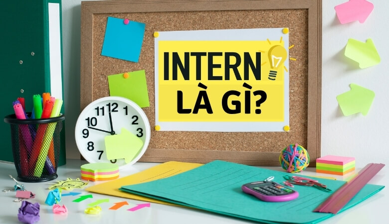 Intern là gì? Internship là gì? 8 vị trí thực tập sinh phổ biến